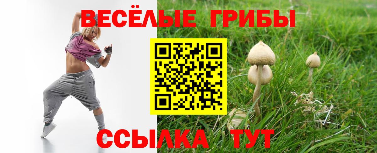 Тайшет  Галлюциногенные грибы ЛСД  Вход с VPN  Галлюциногенные грибы MAGIC MUSHROOMS 